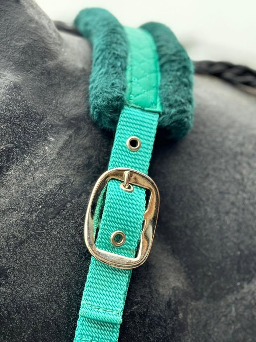 Green Star Headcollar