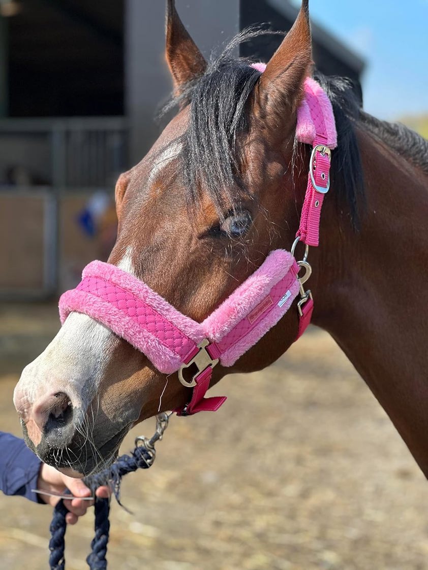 Pink Star Headcollar