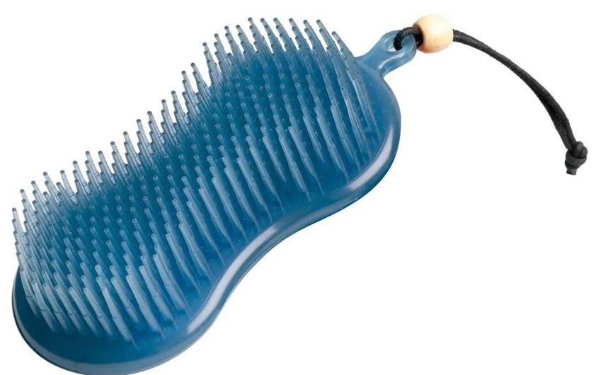 Blue LeMieux Hippo Brush