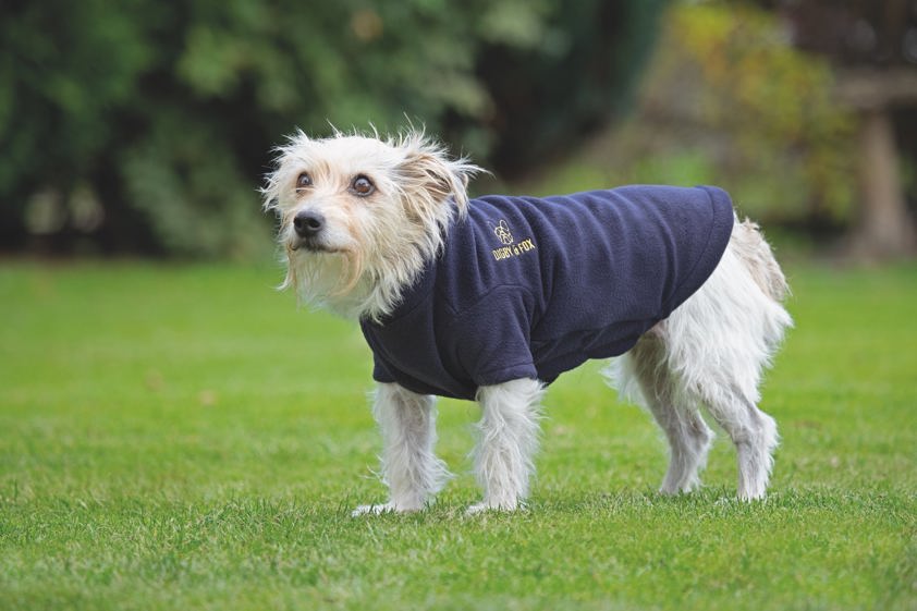 Navy Digby & Fox Fleece Dog Jumper