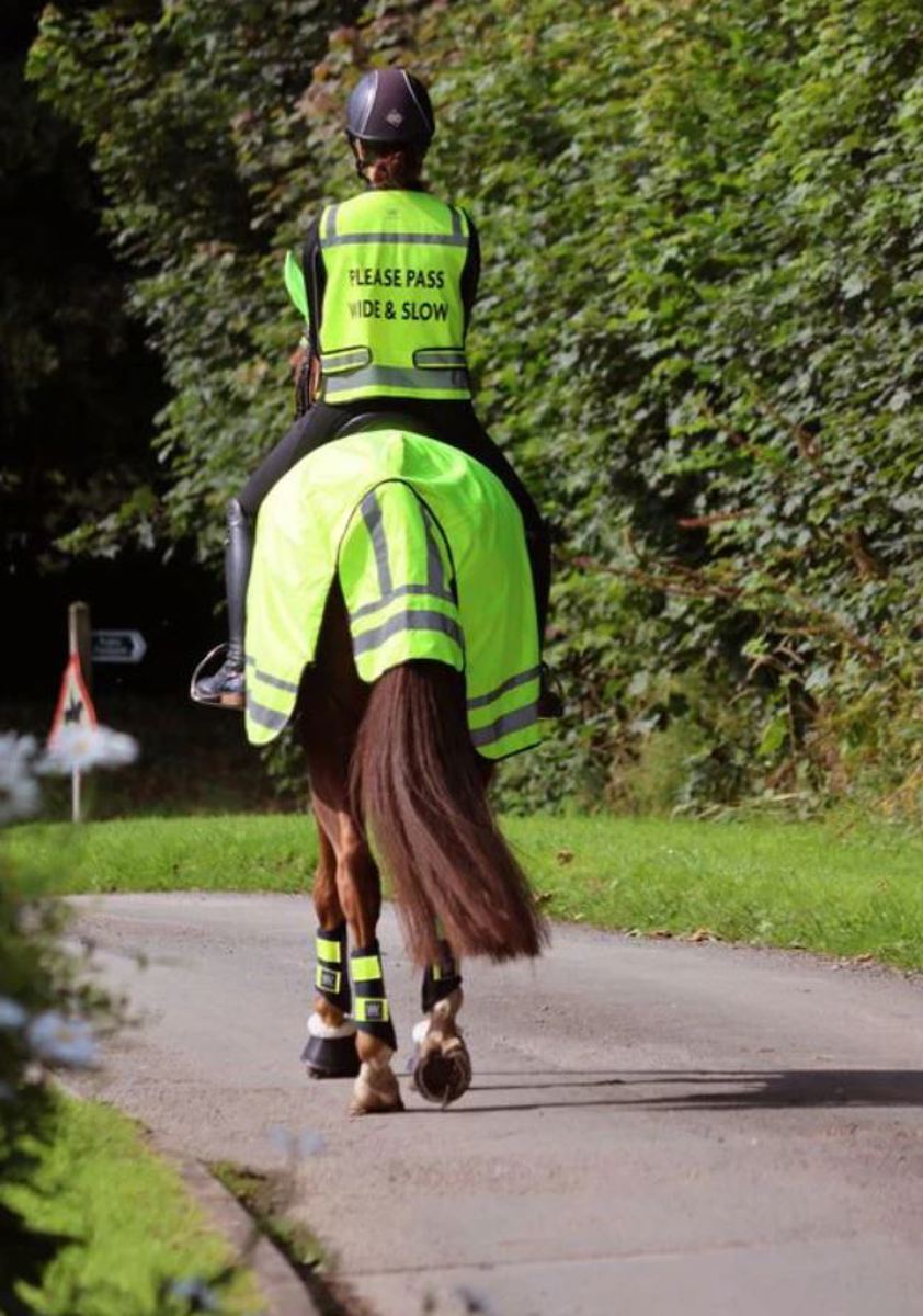 Yellow Woof Wear Hi Vis Riding Vest