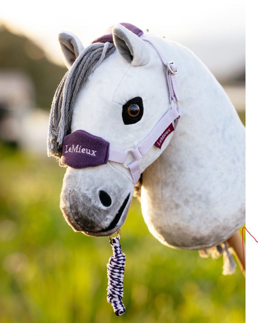 Lilac LeMieux Hobby Horse Vogue Headcollar