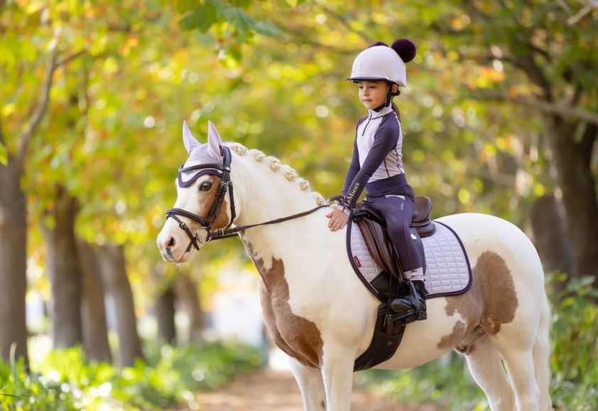 Lilac Mini LeMieux Fly Hood