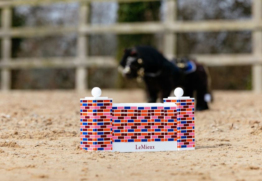 Multi LeMieux Toy Pony Puissance Wall