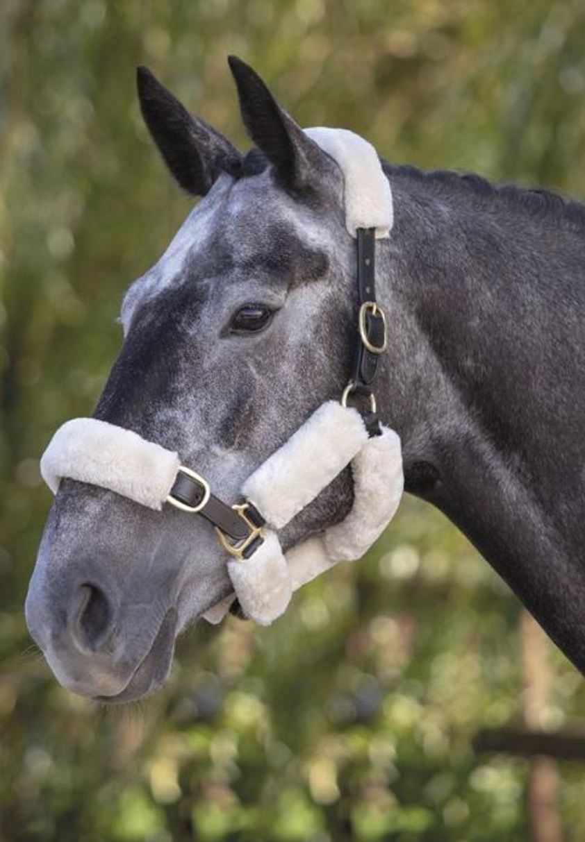 Natural Performance Supafleece Halter Fleeces