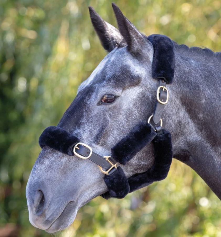 Black Performance Supafleece Halter Fleeces
