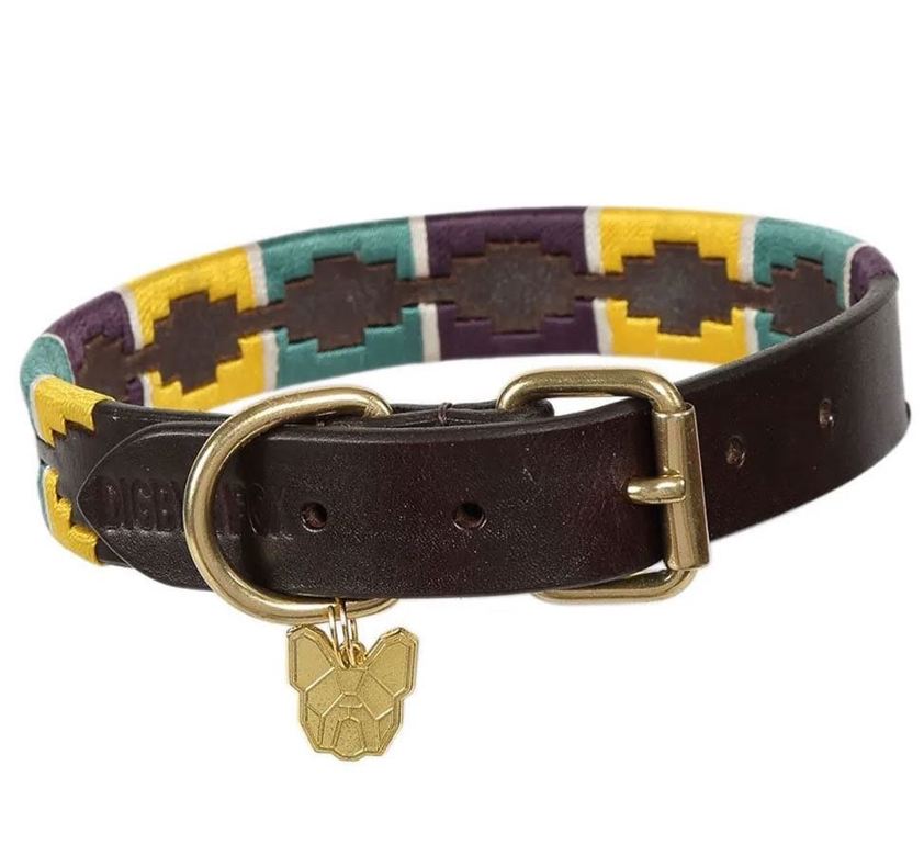 Y/DG/P Digby & Fox Drover Polo Dog Collar