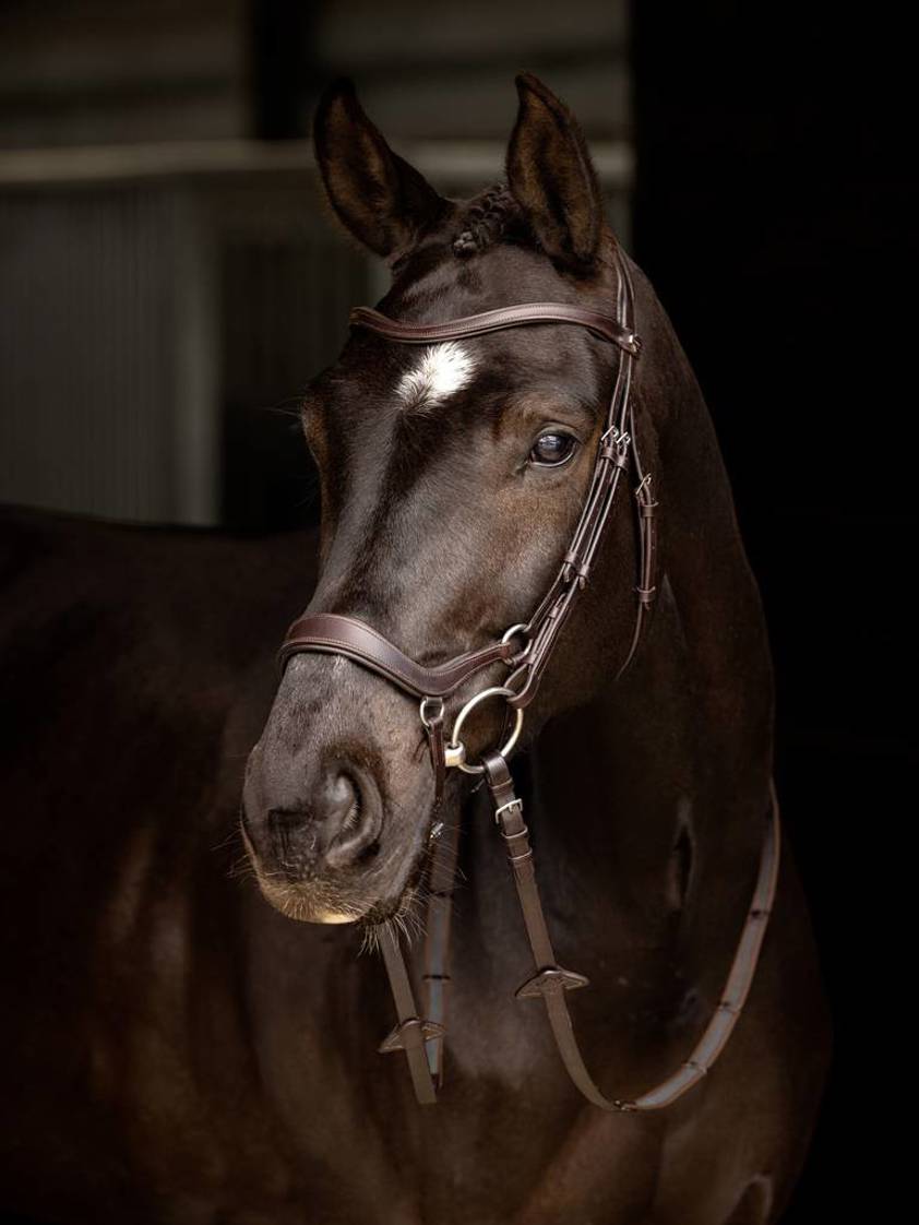 Brown/Silver Arika Drop Bridle