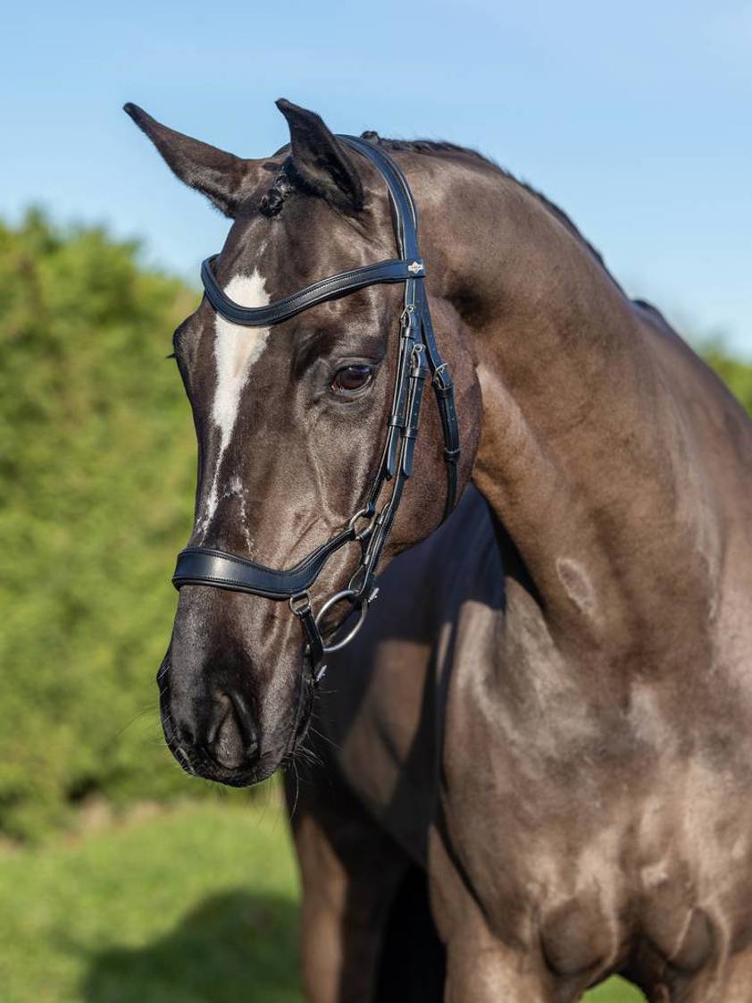 Black/Silver Arika Drop Bridle