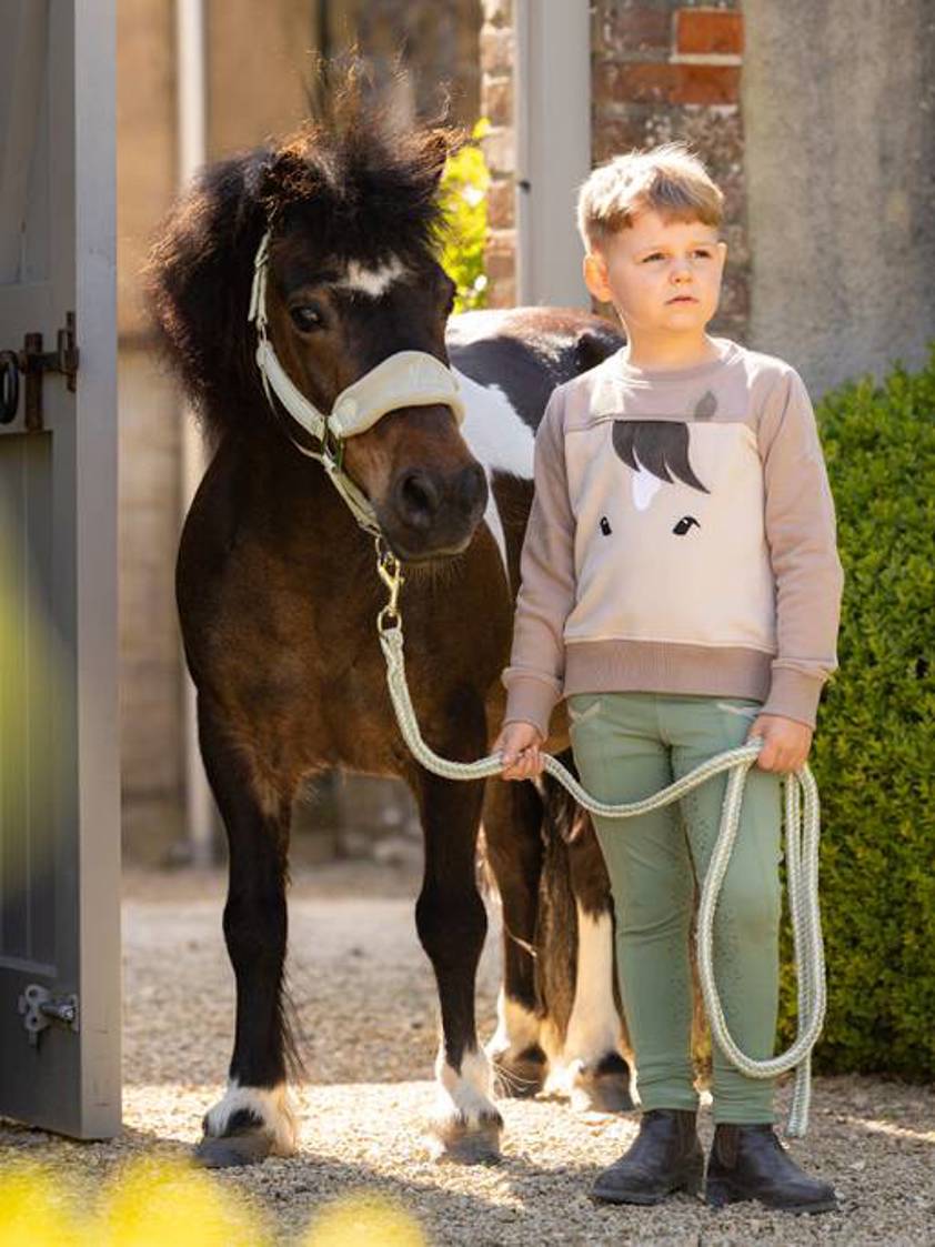 Stone LeMieux Mini Pony Sweatshirt