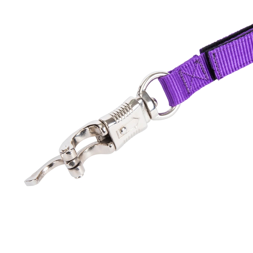 Purple Breakaway Trailer Tie