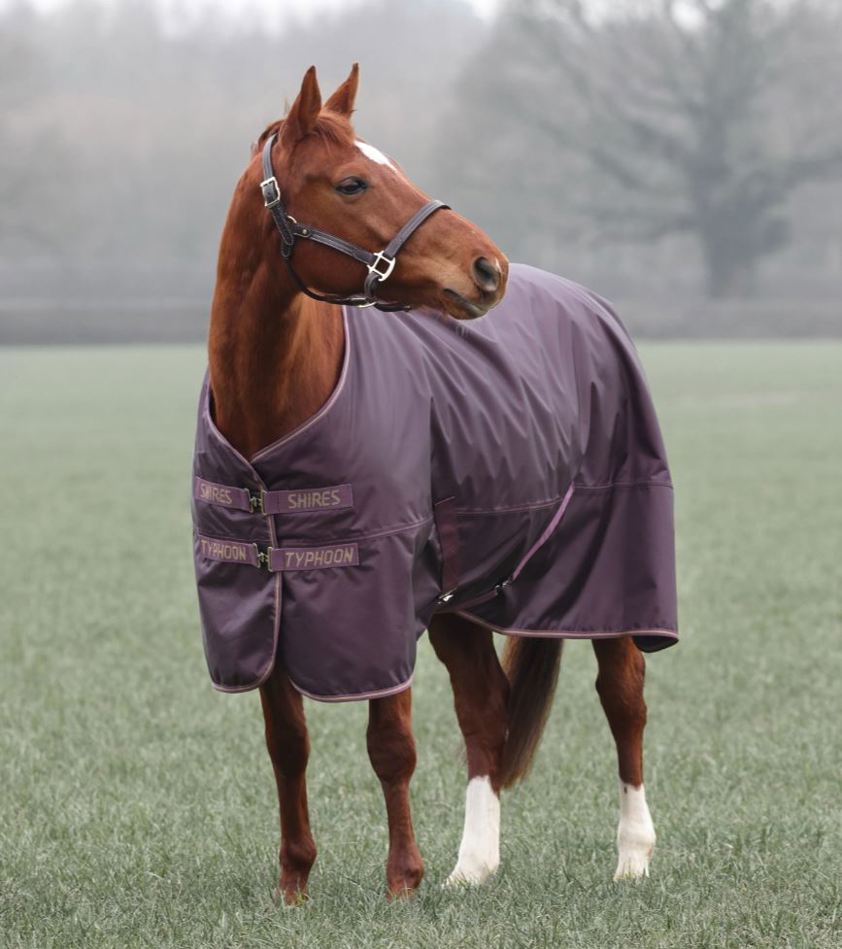 Black Cherry Typhoon 100g Turnout Rug