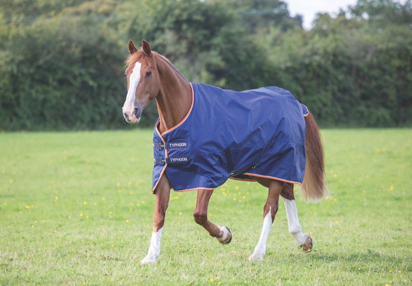 Navy Typhoon 100g Turnout Rug