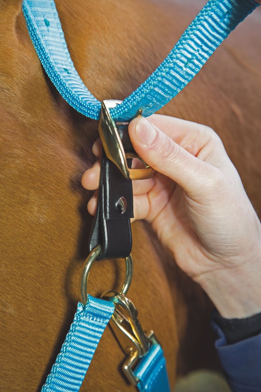 Black Aviemore Headcollar Breakaway Attachment