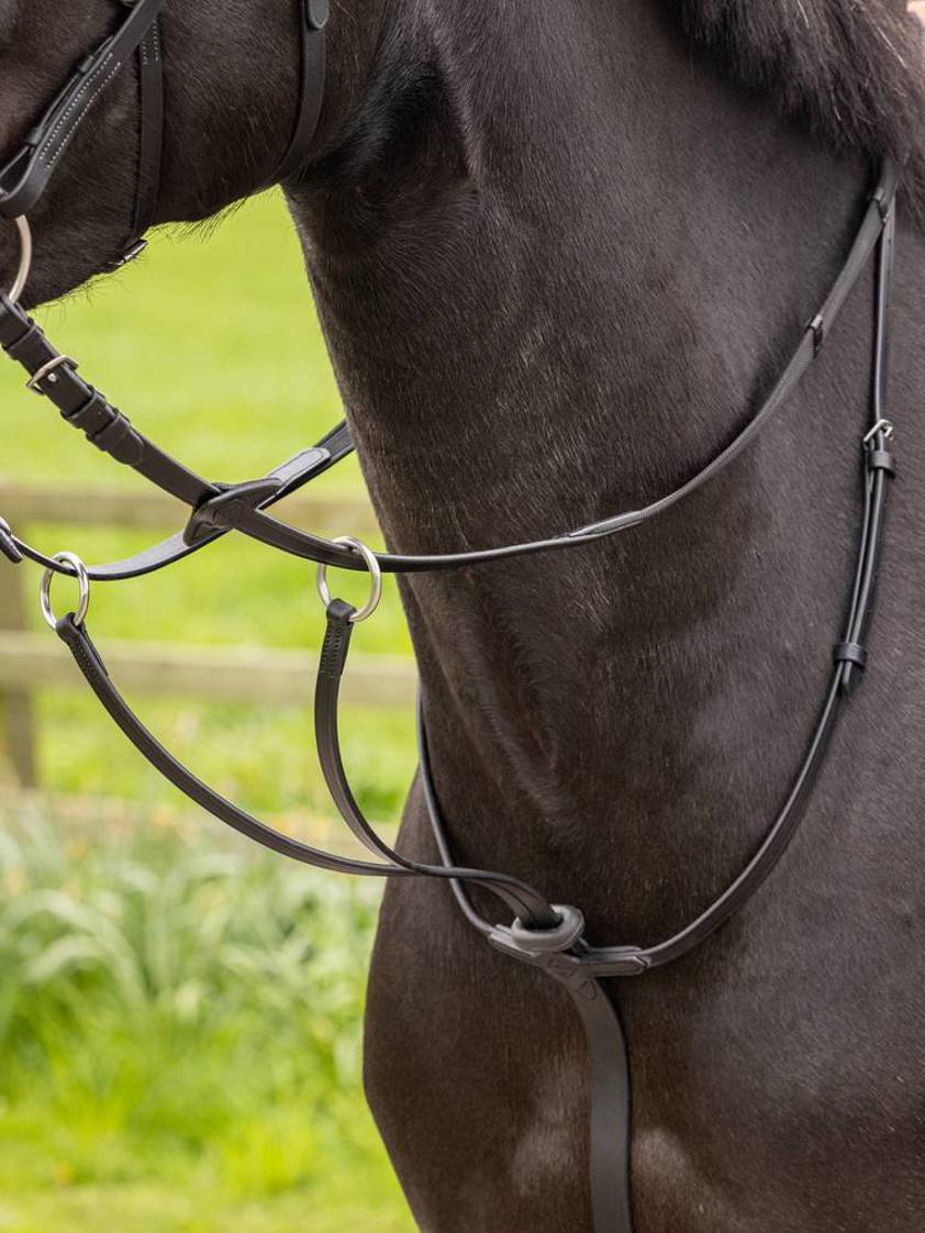 Black/Silver Arika Running Martingale