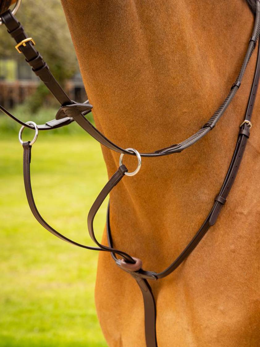 Brown/Silver Arika Running Martingale