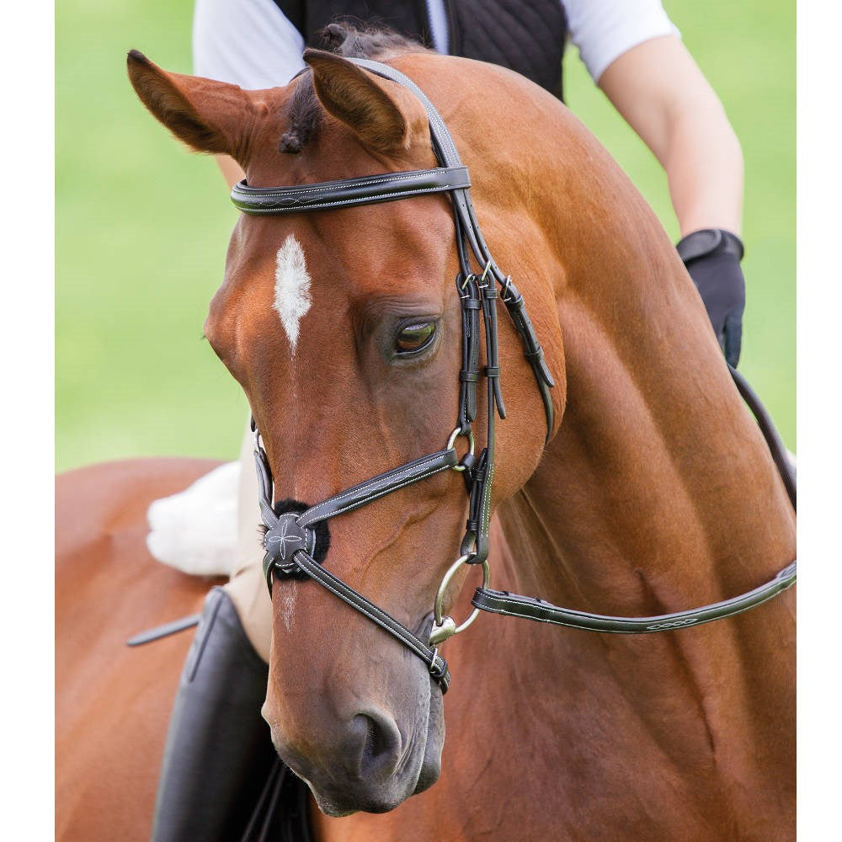 Havana Avignon Grackle Bridle