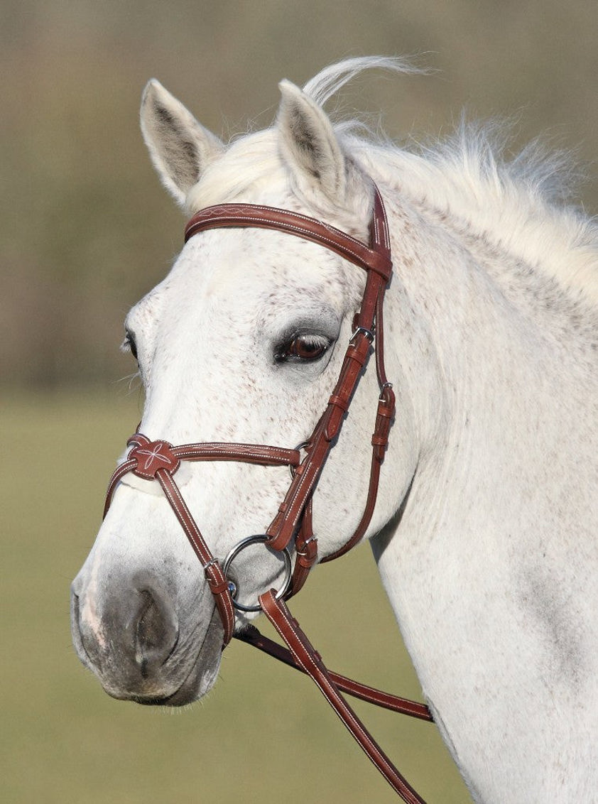 Havana Avignon Grackle Bridle