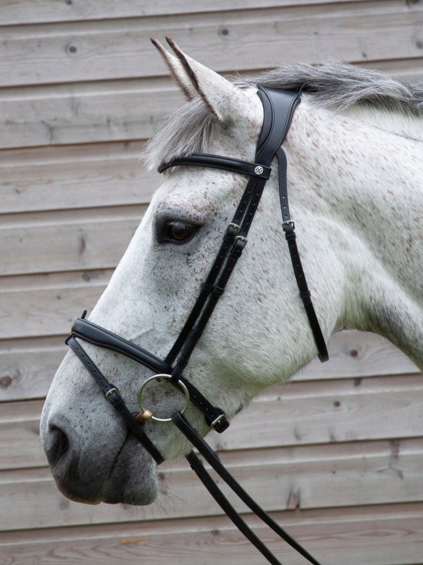 Brown Henry James Flash Bridle With Comfort 3D Air Headpiece