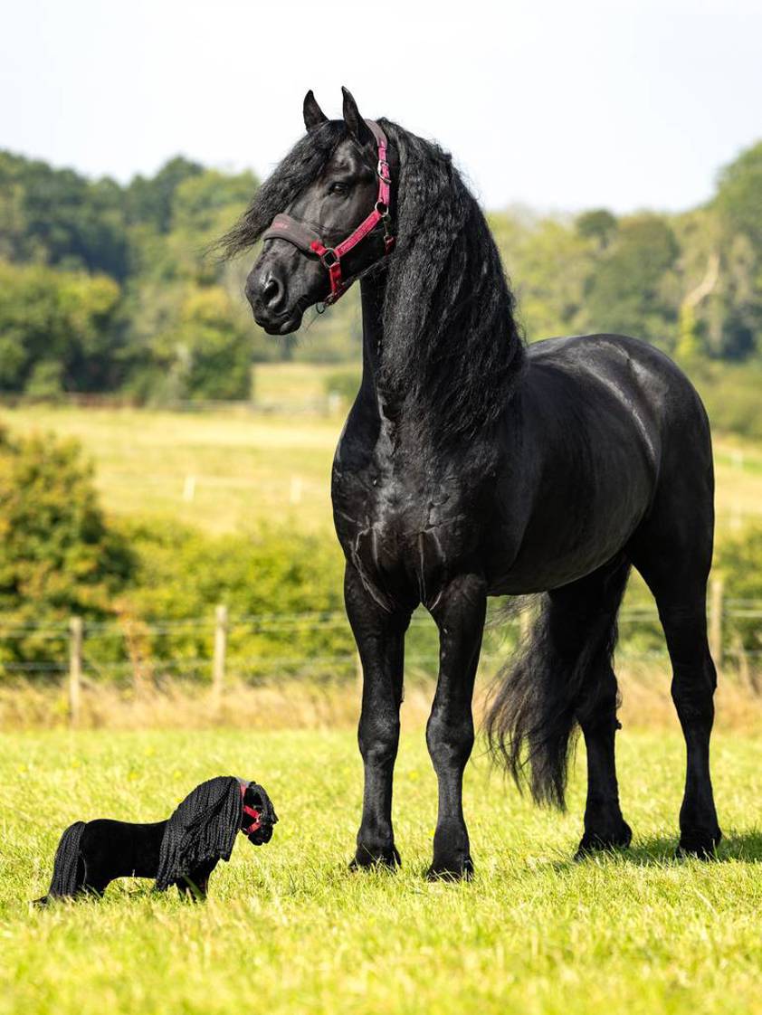 Dazzle LeMieux Toy Pony