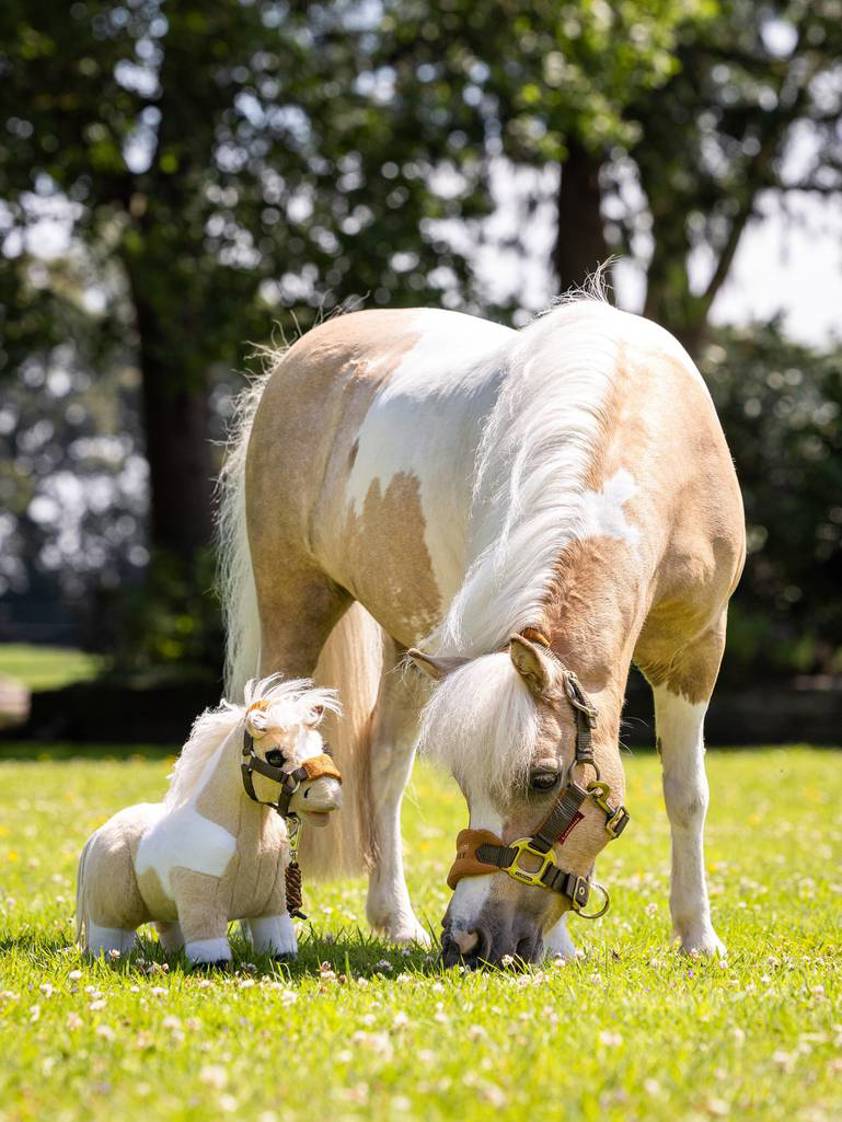 Lemon LeMieux Toy Pony