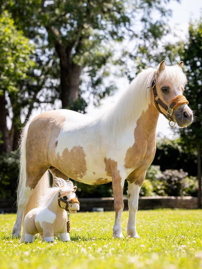 Lemon LeMieux Toy Pony