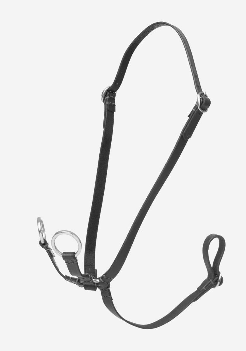 Black LeMieux Hobby Horse Running Martingale