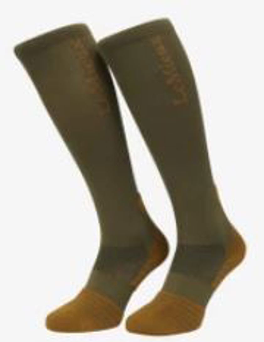 Dark Forest/Champagne Samshield Socks