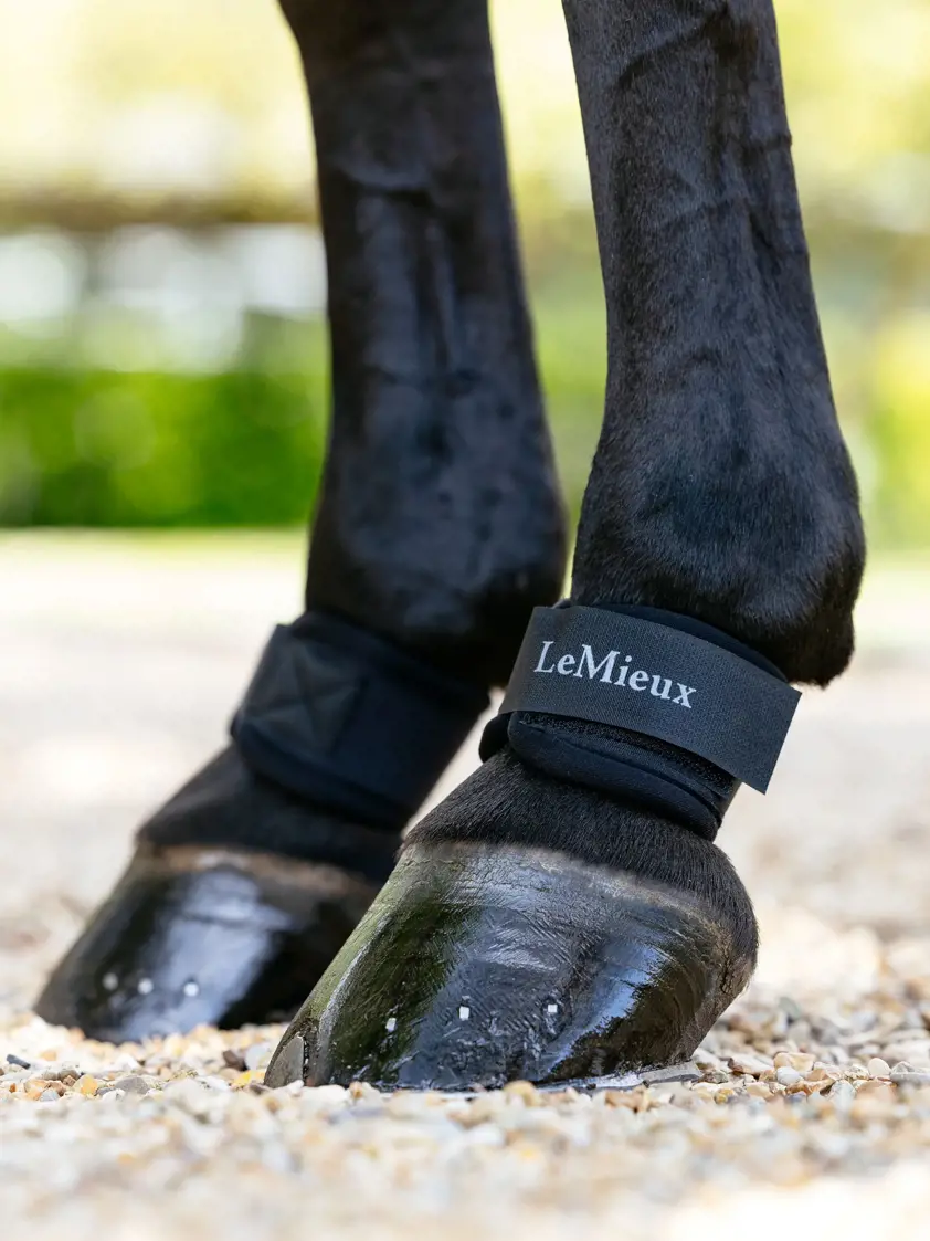 Black LeMieux Neoprene Pastern Wrap