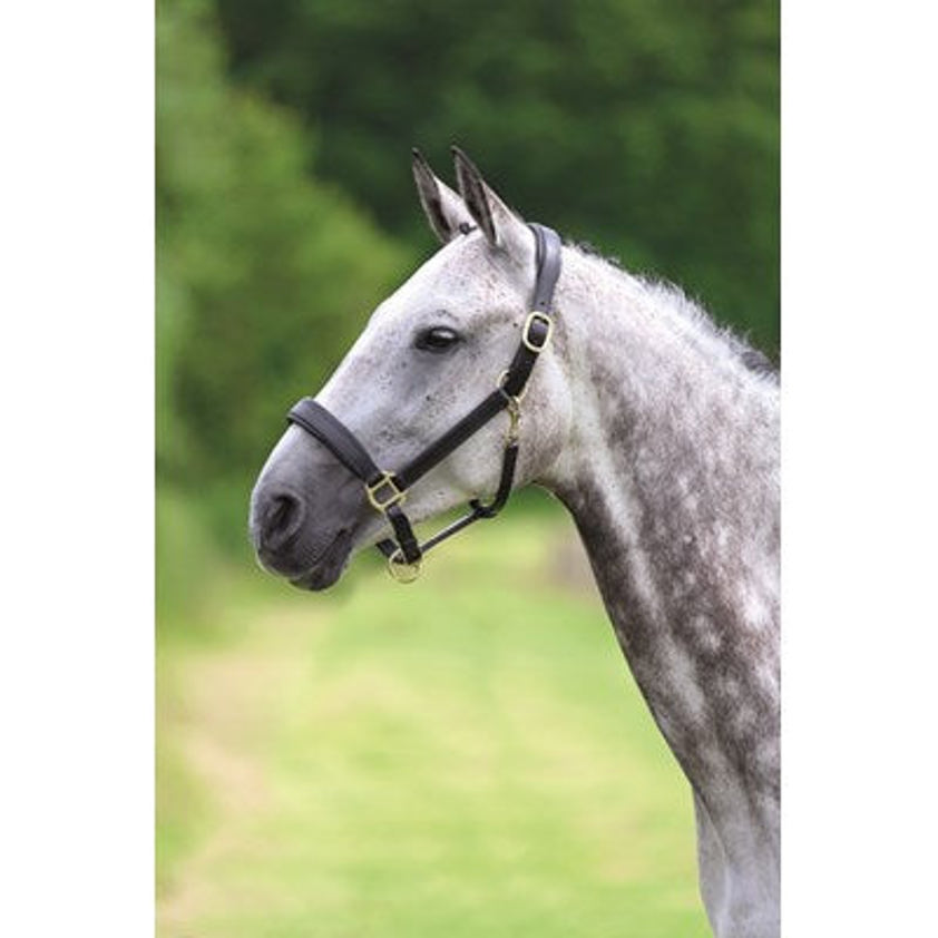 Havana Blenheim Leather Travel Headcollar