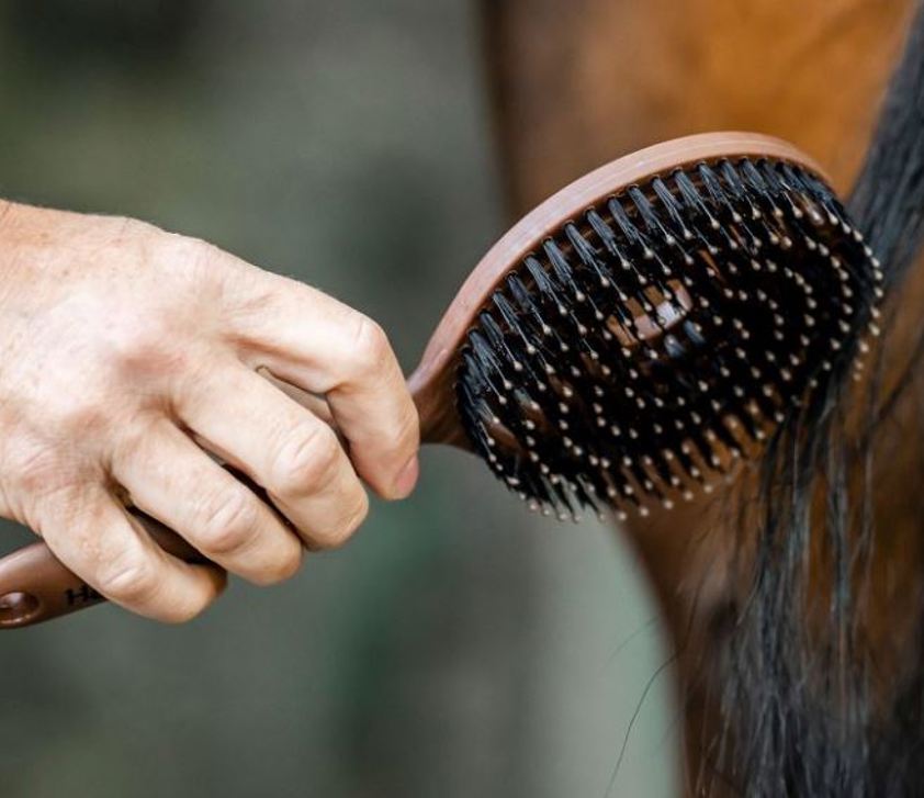 Horseware Mane & Tail brush