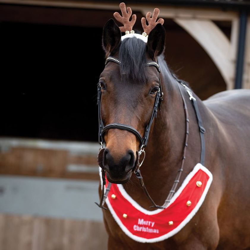 Brown/White Reindeer Antler Bridle Accessory