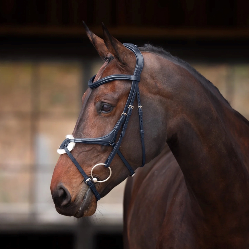 Black Velociti Lusso Elite Grackle Bridle