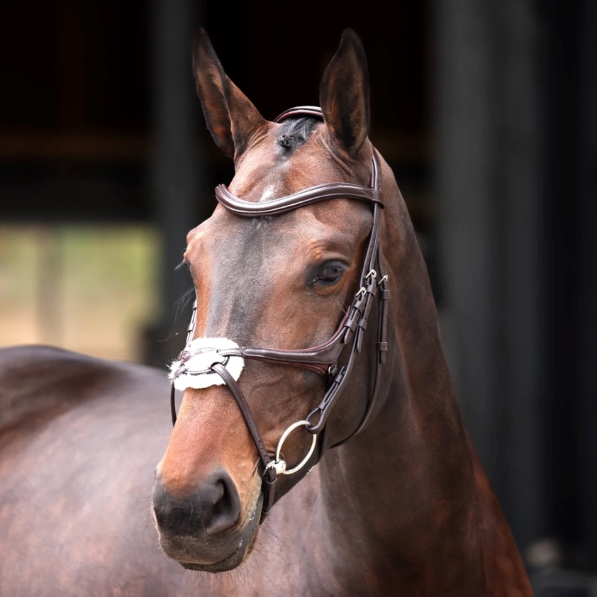 Havana Velociti Lusso Elite Grackle Bridle