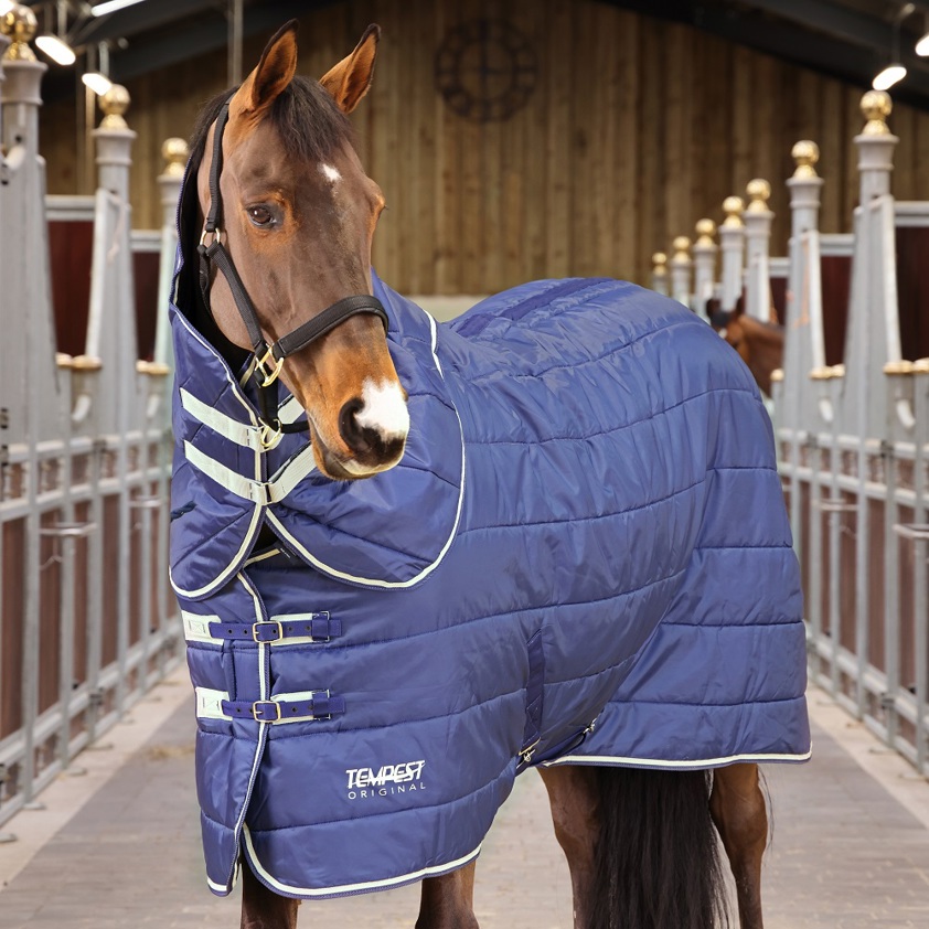 Tempest Stable Rug&Neck