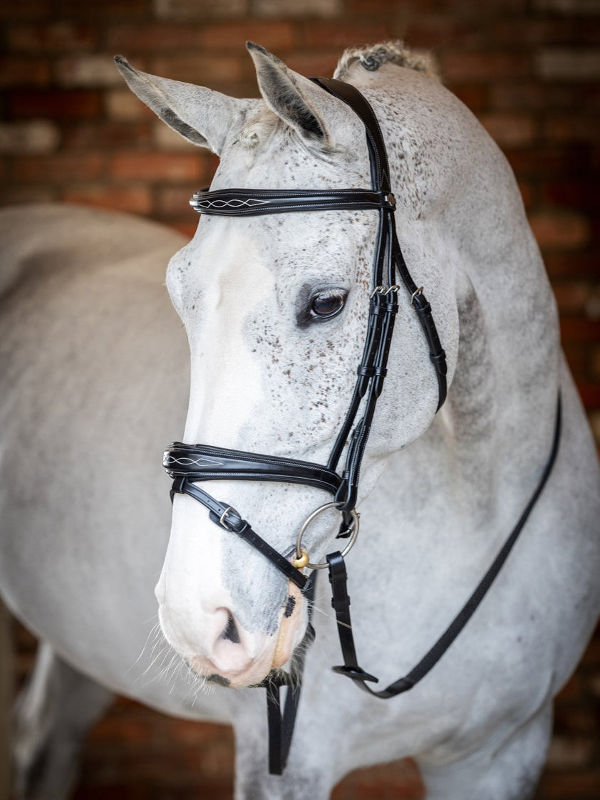 Black LeMieux Competition Flash Bridle