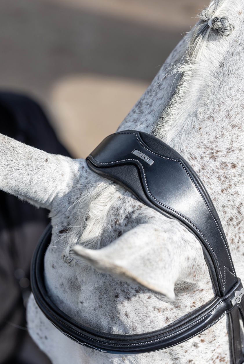 Chestnut LeMieux Kudos Competition Flash Bridle