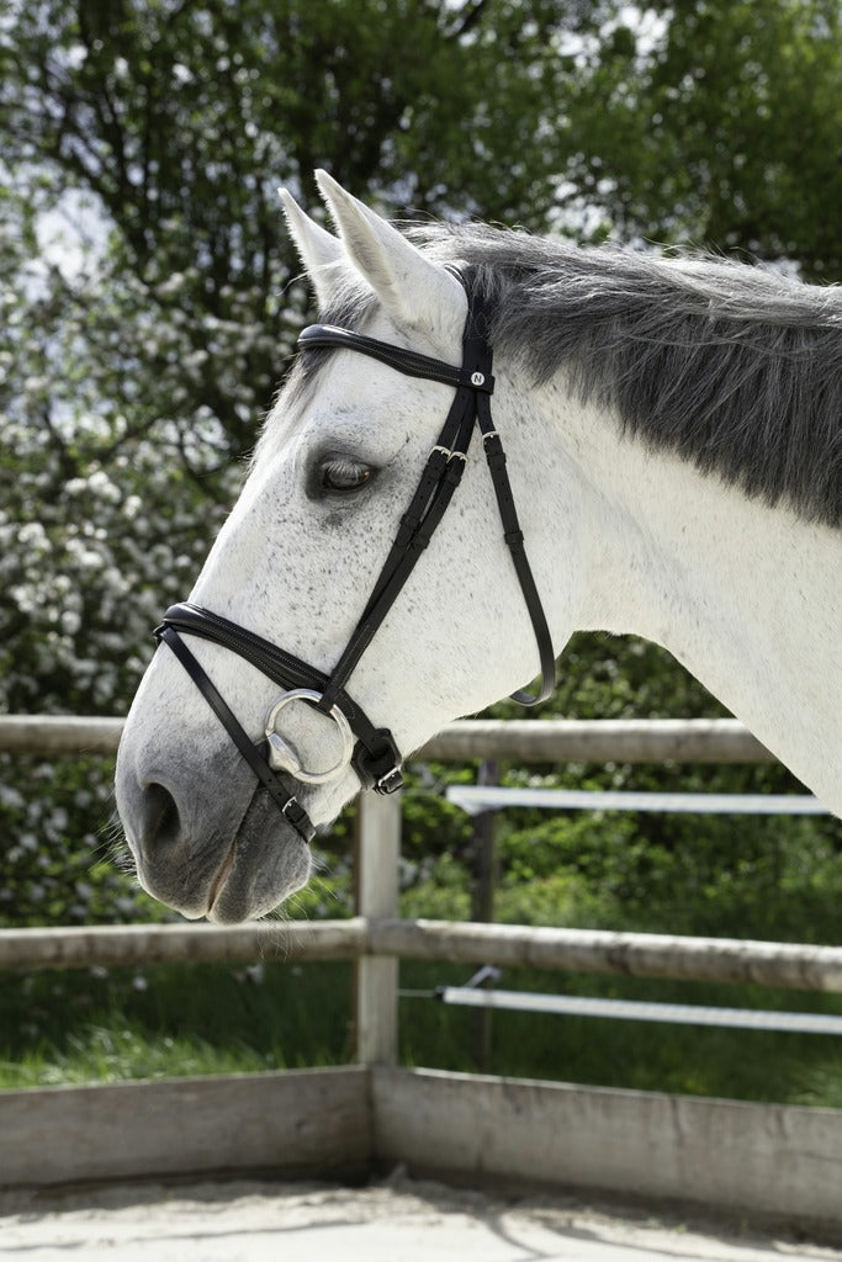 Black Norton Pro Anatomic Bridle