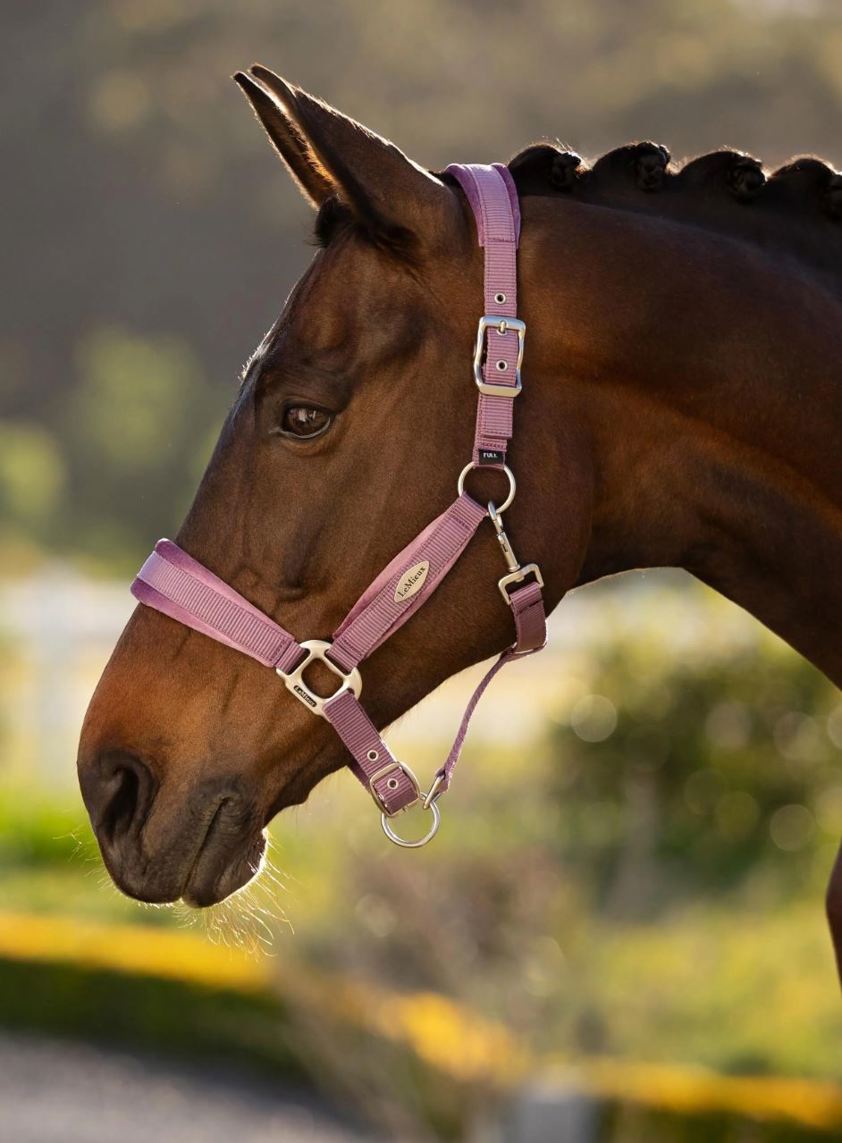 Mallow LeMieux Versailles Headcollar