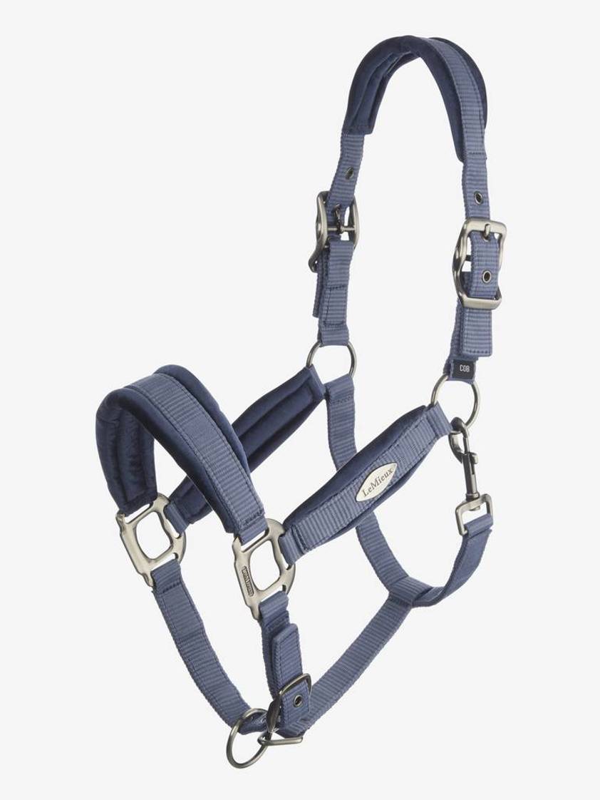 Jay Blue LeMieux Versailles Headcollar