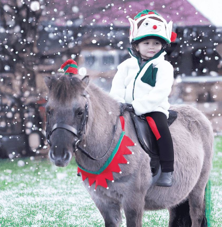 Green/Red Equetech Christmas Breastplate