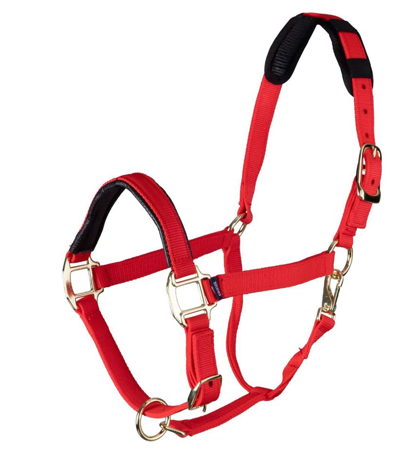 Red Topaz Nylon Headcollar