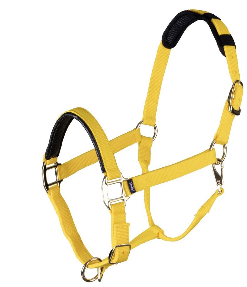 Yellow Topaz Nylon Headcollar
