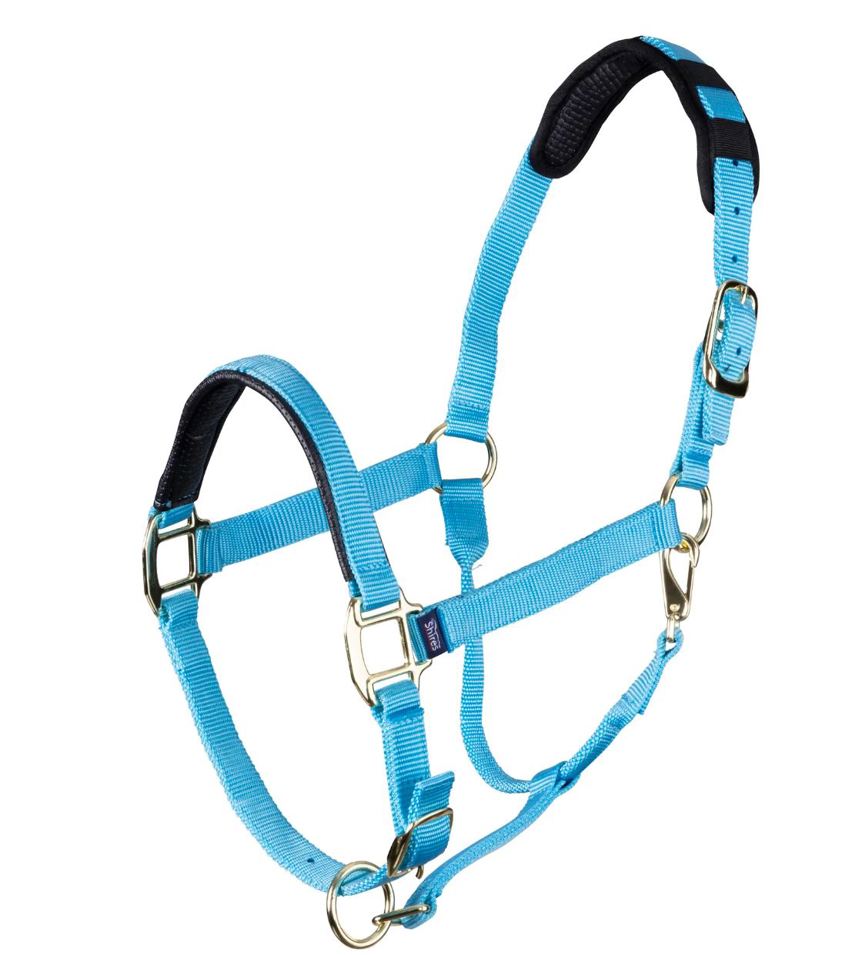 Blue Topaz Nylon Headcollar