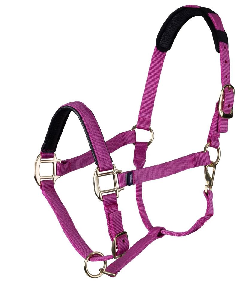 Raspberry Topaz Nylon Headcollar