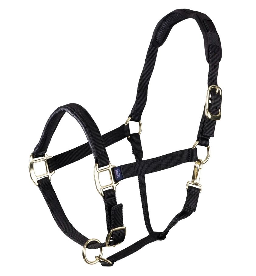 Black Topaz Nylon Headcollar