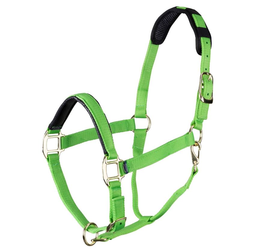Green Topaz Nylon Headcollar