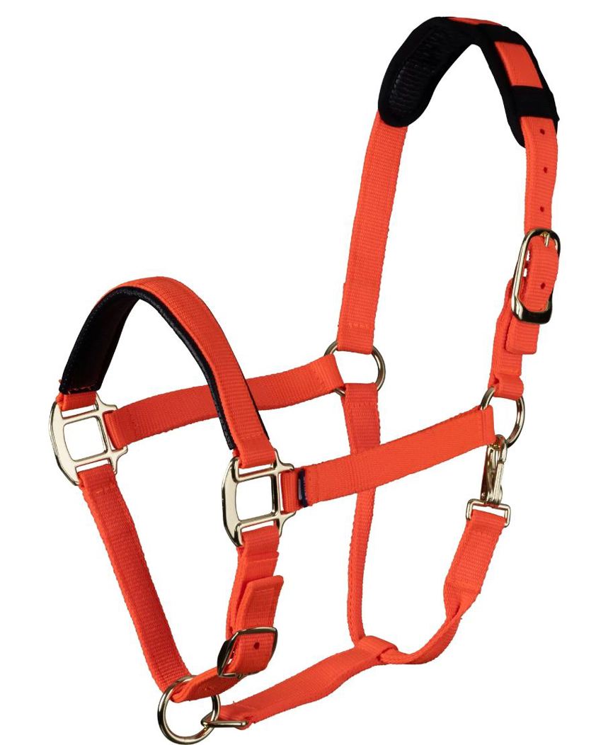 Orange Topaz Nylon Headcollar