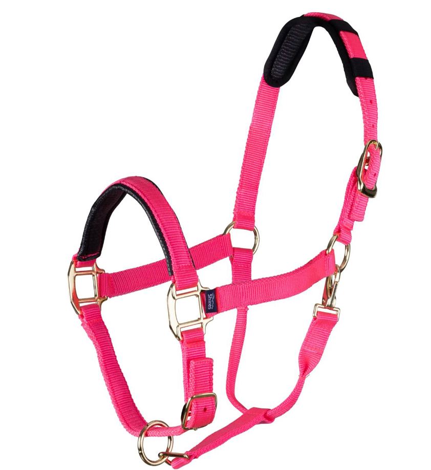 Pink Topaz Nylon Headcollar