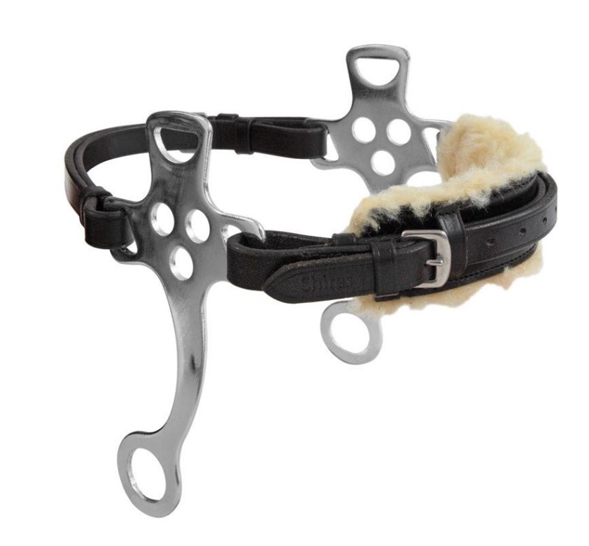 Black Blenheim English Hackamore